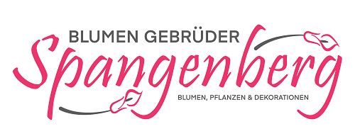 Blumen Spangenberg